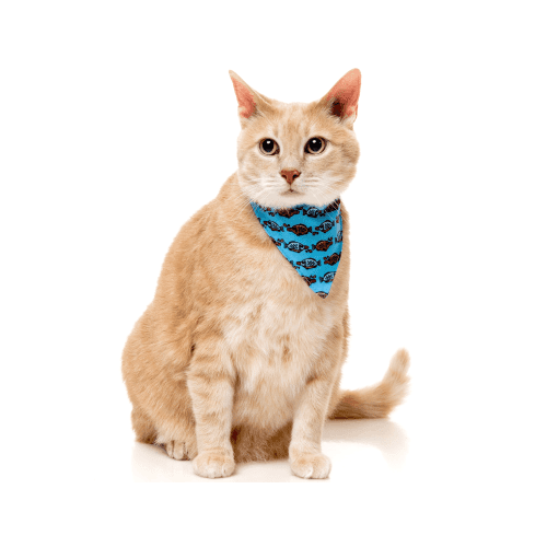 FUZZYARD CAT FASHION PACK - SOY SAUCE FISH - Imagen 3