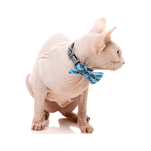 FUZZYARD CAT FASHION PACK - SOY SAUCE FISH - Imagen 4