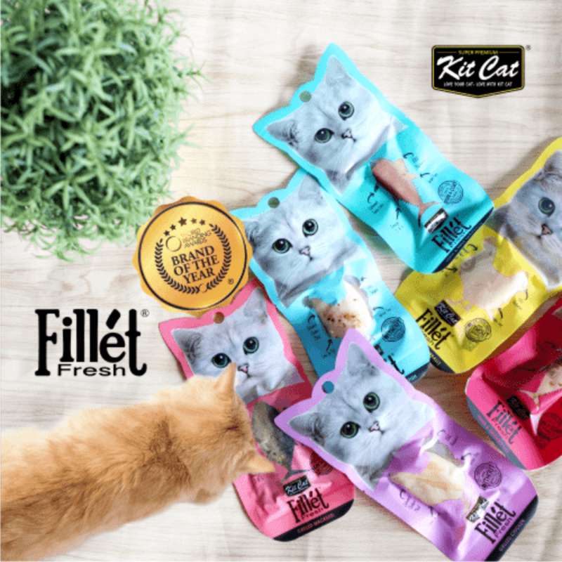 kit cat filete fresco caballa