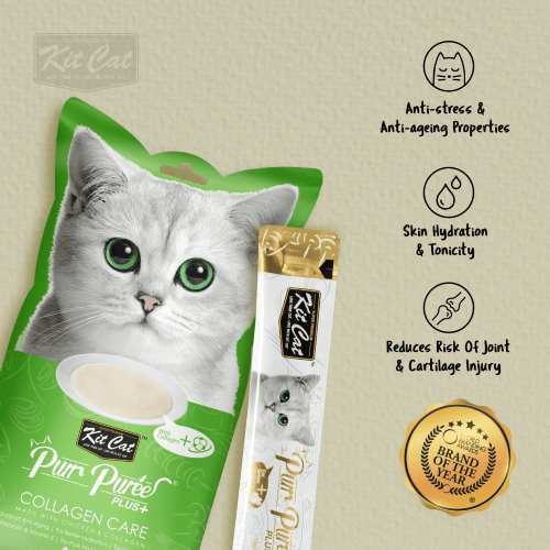 premios gatos kit cat