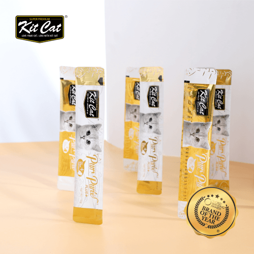 purrpureeplus regalo kit cat