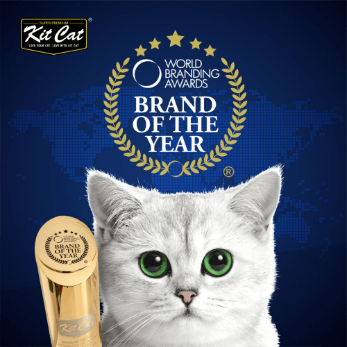 kit cat pollo salmón