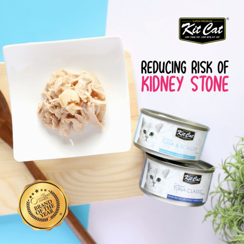 lata comida gato pollo kit cat